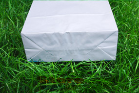 Крафт дно белый